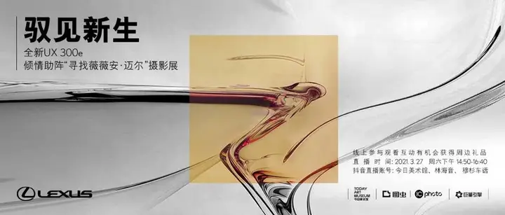 与雷克萨斯一起寻找薇薇·安迈尔