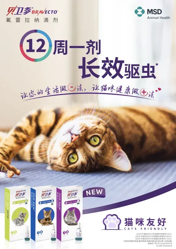 贝卫多：在？进来看看猫片