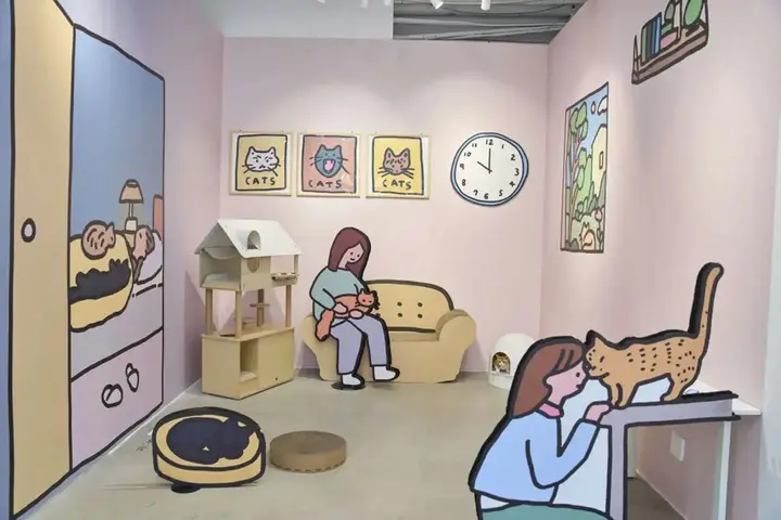 pidan 联合 ZERO PER ZERO 开展「猫咪的一天」