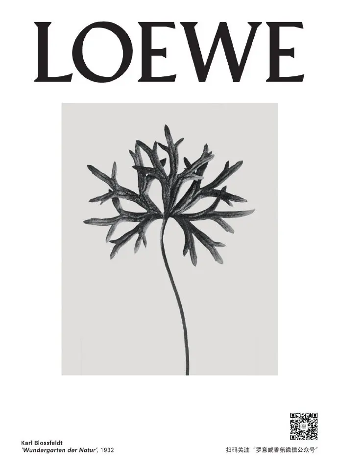 LOEWE 于上海举办「ARTBOX 限时体验展」