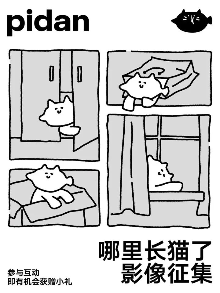 多抓鱼联合 pidan 发起「大家一起来找猫」征集