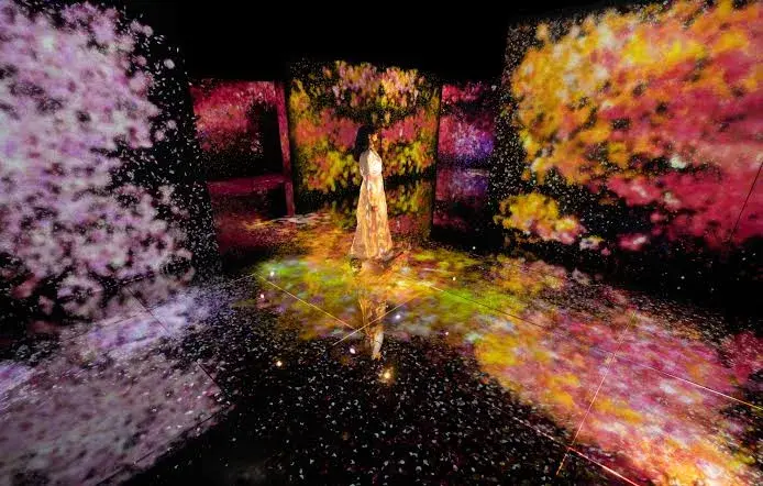 NMACC Presents Immersive Art Exhibition ‘Second Nature’