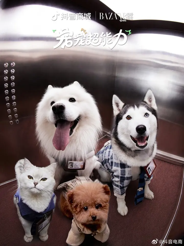 抖音电商 ×《芭莎宠爱》给毛孩子拍劳动节大片