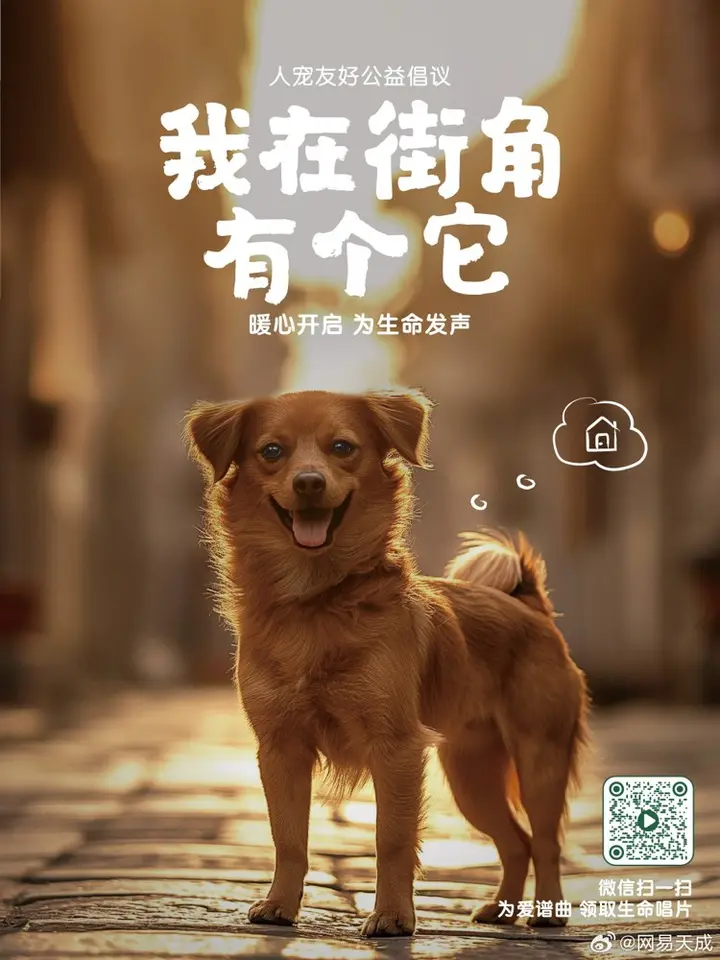 网易天成发起「我在街角有个它」公益行动