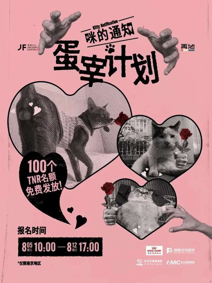 景枫中心的「蛋宰计划」让猫咪们闻风丧胆！