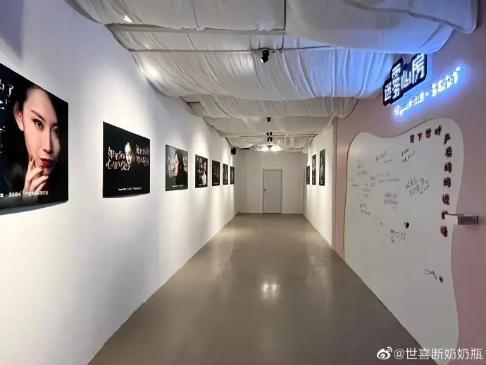 世喜发起产后抑郁关爱行动