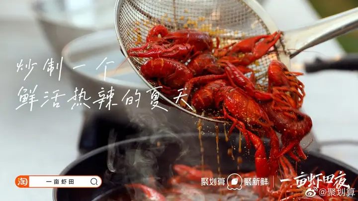 聚划算送你「一亩虾田」