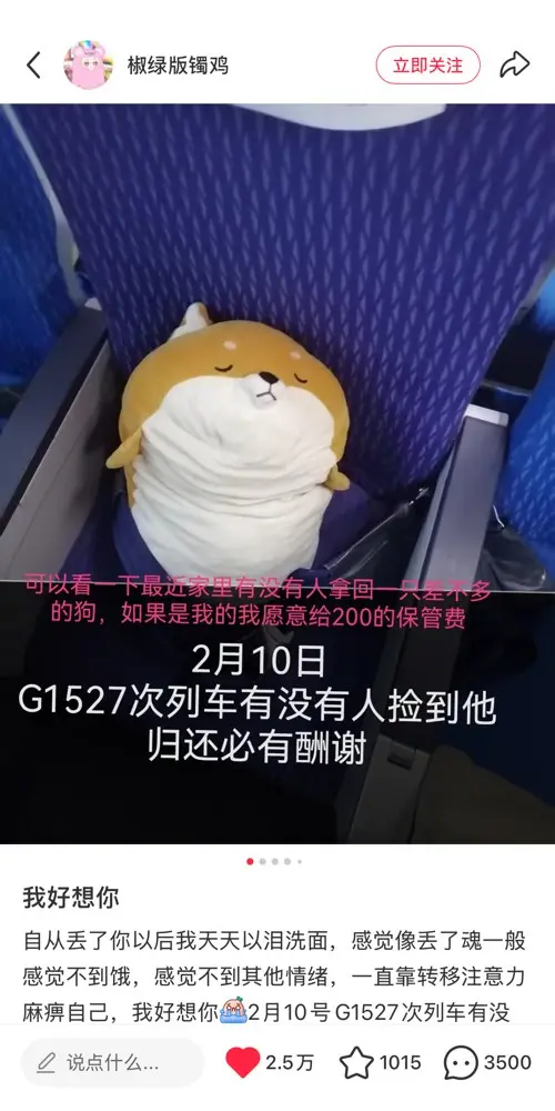 名创优品帮网友发布阿贝贝寻物启事