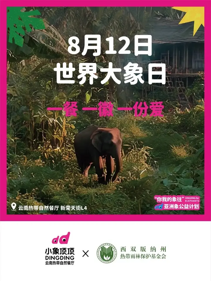 小象顶顶发起「你我的象往」亚洲象公益计划