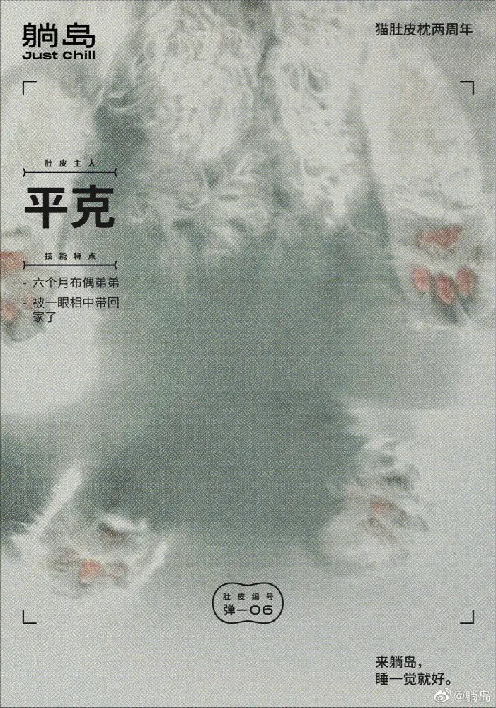 躺岛举办一场「露出猫肚皮」的展览